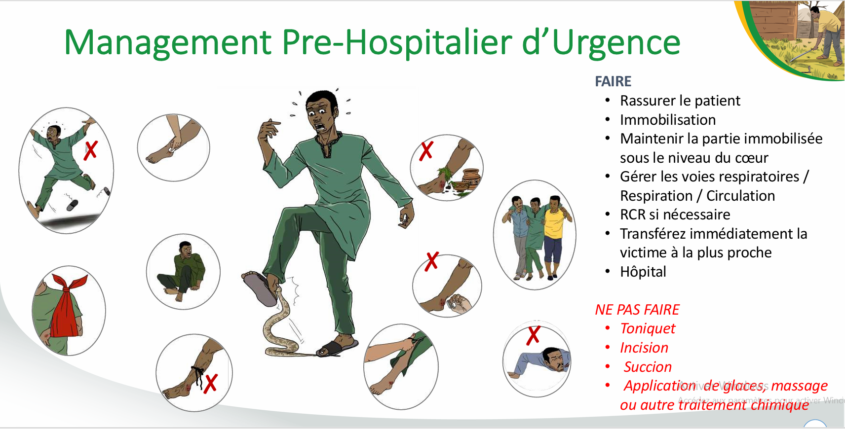 Envenimations par morsures de serpents au Cameroun : enjeux et défis d’une urgence de santé publique